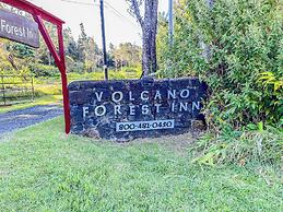 Volcano Forest Inn