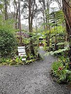 Volcano Village Lodge