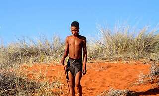 Zebra Kalahari Lodge