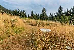 Carson Ridge Luxury Cabins