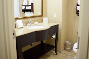 Hampton Inn Rochester Webster