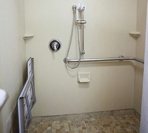 Hampton Inn Rochester Webster