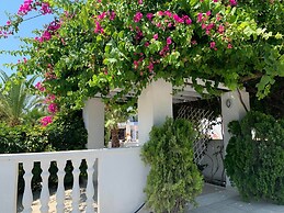 White Palace Studios