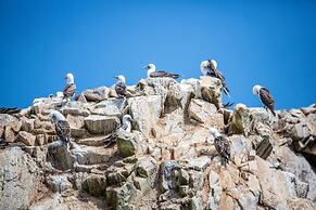 The Legend Paracas Resort, a Destination by Hyatt Hotel