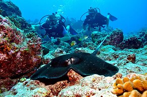 Holiday Inn Resort Kandooma Maldives - Kids Stay & Eat Free and DIVE F