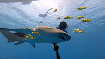 Holiday Inn Resort Kandooma Maldives - Kids Stay & Eat Free and DIVE F