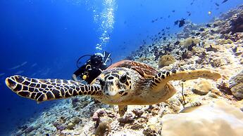 Holiday Inn Resort Kandooma Maldives - Kids Stay & Eat Free and DIVE F