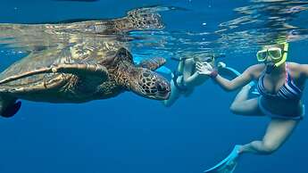 Holiday Inn Resort Kandooma Maldives - Kids Stay & Eat Free and DIVE F