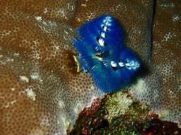 Hideaway Island Resort