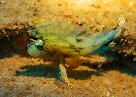 Hideaway Island Resort