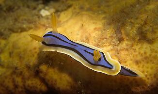 Hideaway Island Resort