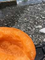 Best Western Hotel Imperiale