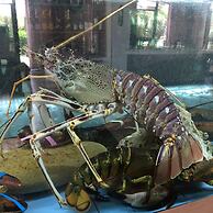 Best Western Hotel Imperiale