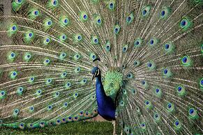 Protea Hotel by Marriott Bloemfontein Willow Lake