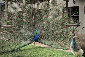 Protea Hotel by Marriott Bloemfontein Willow Lake