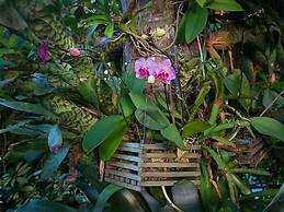 Vanderbilt Beach Resort