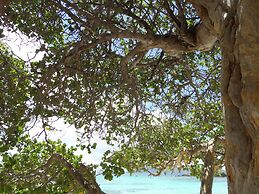 Crystal Cove Villas