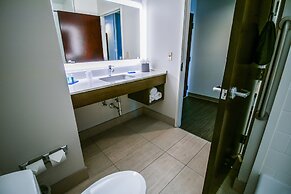 Holiday Inn Express Hotel & Suites, a Baton Rouge-Port Allen by IHG