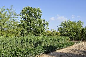 Hotel Rural La Paloma