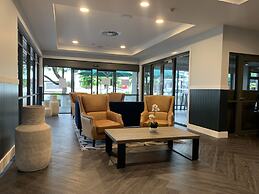 The Palmer Collective