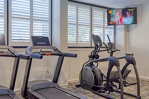 The Palmer Collective