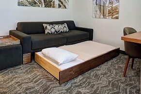 SpringHill Suites by Marriott Saginaw