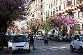 Florida rooms - comfort Hotel