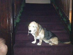 Riverside Hot Springs Inn & Spa - Adults Only