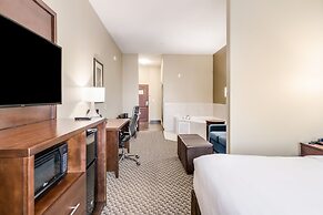 Comfort Suites Fort Stockton