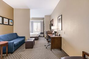 Comfort Suites Fort Stockton