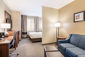 Comfort Suites Fort Stockton