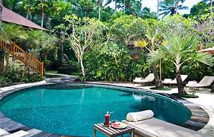 Mason Elephant Lodge