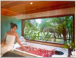 Mason Elephant Lodge