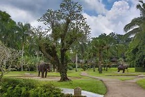 Mason Elephant Lodge