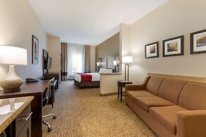 Comfort Suites Ontario Airport Convention Center