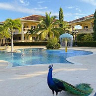 La Ensenada Beach Resort - All Inclusive