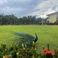 La Ensenada Beach Resort - All Inclusive