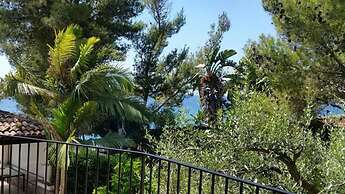 Villa Oasis Residence