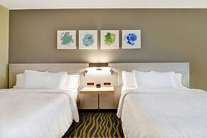 Hilton Garden Inn Lake Buena Vista/Orlando