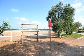 AmareGold Tenuta la Baronessa