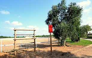 AmareGold Tenuta la Baronessa