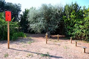 AmareGold Tenuta la Baronessa