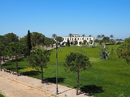 AmareGold Tenuta la Baronessa