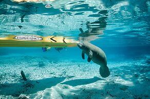 Holiday Inn Express Crystal River by IHG