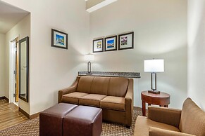 Comfort Suites Smyrna - Nashville Area