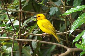 Pinewood Beach Resort and Spa