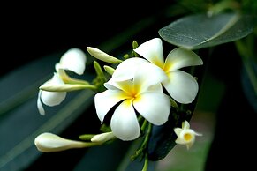 Pinewood Beach Resort and Spa