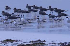 Pinewood Beach Resort and Spa