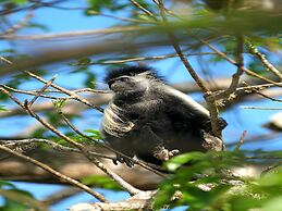 Pinewood Beach Resort and Spa