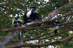 Pinewood Beach Resort and Spa